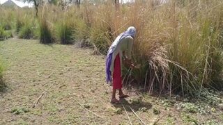Video Panas Pekerja Kasar Dan Pria Nakal Bercinta Di Kebun