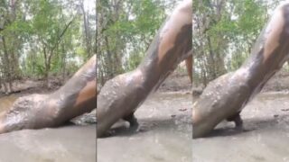 Pria Kecanduan Seks Yang Kesepian Ngewe Di Lumpur Dalam Video Xxx